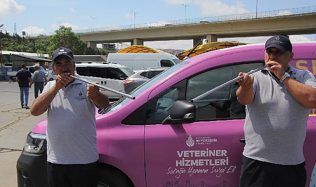 İBB boğa timi görev başında- Kamu Çalışanı