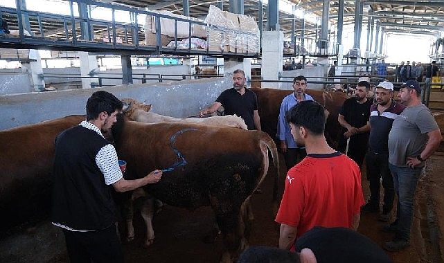 İnegöl Modern Hayvan Pazarı Beşinci Kez Bayram Sevinci Yaşattı- Kamu Çalışanı