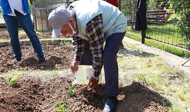 İstanbullu Halk Bostanlarını Çok Sevdi- Kamu Çalışanı