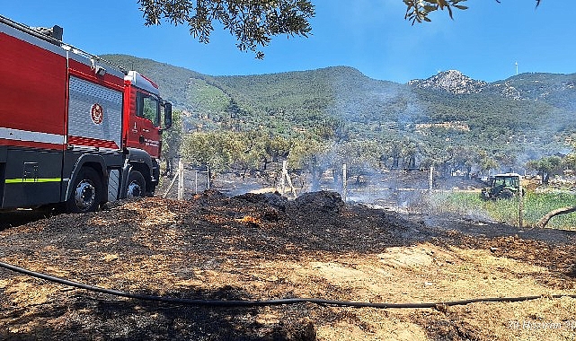 İzmir İtfaiyesi Torbalı, Kınık ve Menderes’teki yangınlara müdahale etti- Kamu Çalışanı
