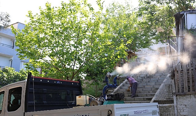 Karabağlar’da Haşerelere Karşı İlaçlama Seferberliği- Kamu Çalışanı