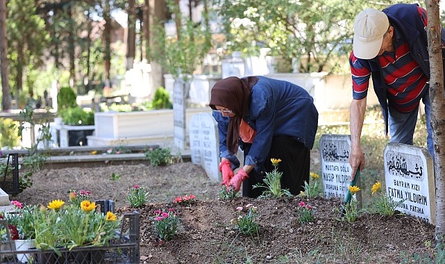 Kocaeli Büyükşehir bayramda vefa geleneğini yine sürdürdü;  Kabirlere çiçek, gönüllere huzur   – Kamu Çalışanı