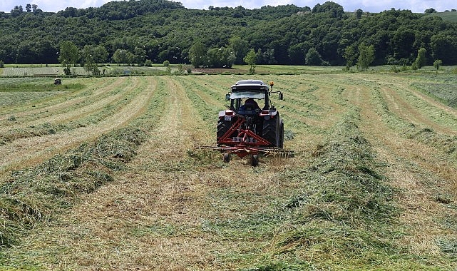 Kocaeli’nde “süt otu” hasadı başladı- Kamu Çalışanı
