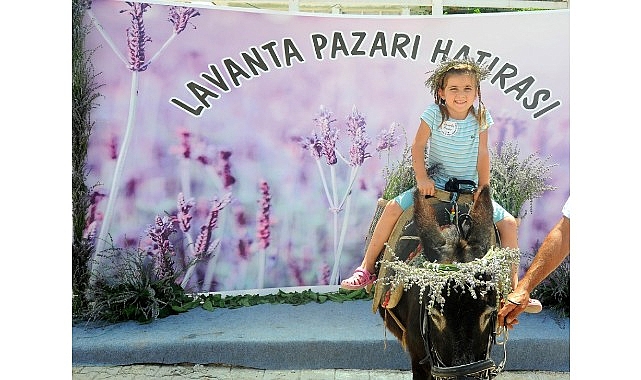 Mis Gibi Şenlik: Seferihisar’da Lavanta Büyüsü Başlıyor- Kamu Çalışanı
