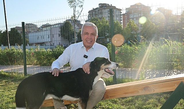 Nilüfer’de can dostlar yeni yuvalarına kavuştu- Kamu Çalışanı