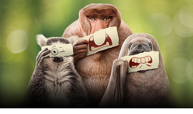 Ryan Reynolds’ın Anlatımıyla ‘Ötekiler’, 21 Haziran Cumartesi 20.00’de National Geographic WILD Ekranlarında İzleyicilerle Buluşuyor!- Kamu Çalışanı