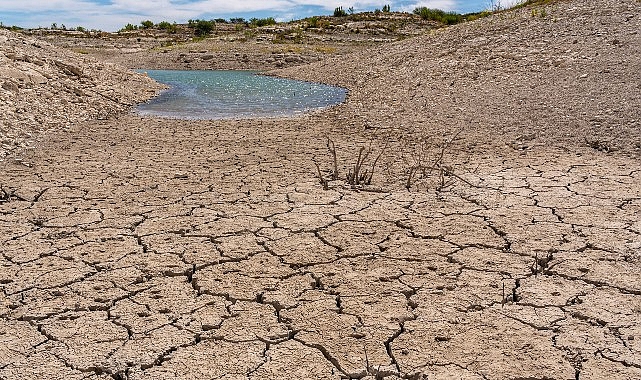 TEMA Vakfı: Toprağı İyileştirmek, Doğayı ve Geleceği Korumaktır- Kamu Çalışanı