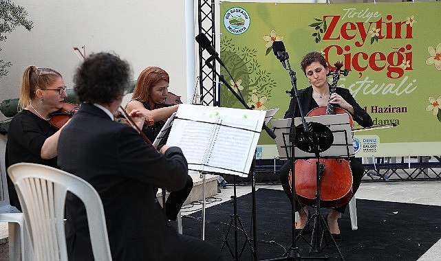 Tirilye’de zeytinin çiçeği açtı, festival sokakları sardı- Kamu Çalışanı