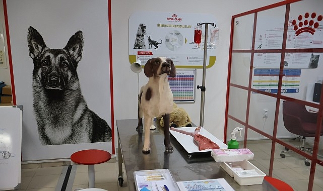 Uludağ Üniversitesi Klinik Beceri Laboratuvarı Açıldı- Kamu Çalışanı