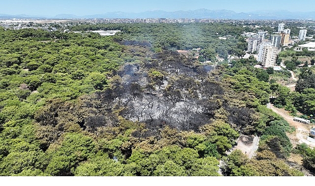 Antalya Büyükşehir Belediyesi İtfaiyesi alevlerle mücadelesini sürdürüyor- Kamu Çalışanı