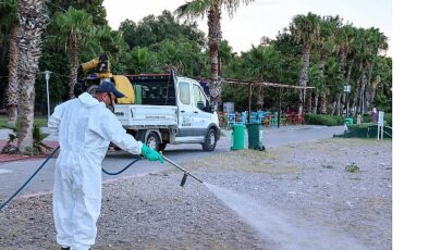 Büyükşehir vektörel mücadele çalışmalarını mesire alanlarında da sürdürüyor- Kamu Çalışanı