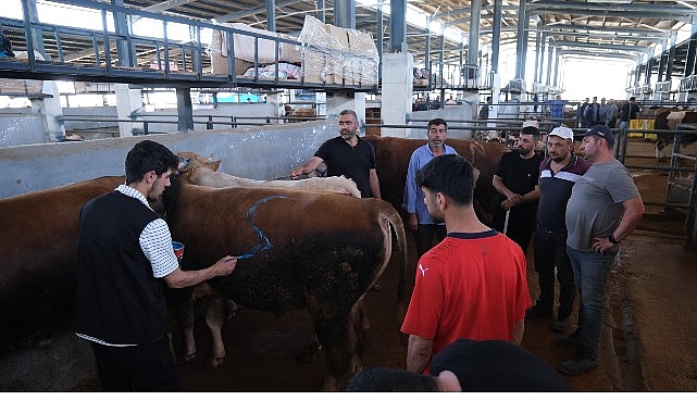 Hayvan Pazarları İkinci Bir Emre Kadar Kapatıldı- Kamu Çalışanı