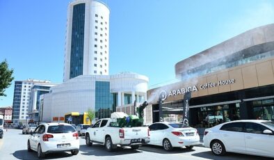 İlçe Genelinde Haşere Mesaisi- Kamu Çalışanı