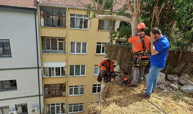İzmit’te riskli bölgeye güvenlik kalkanı- Kamu Çalışanı