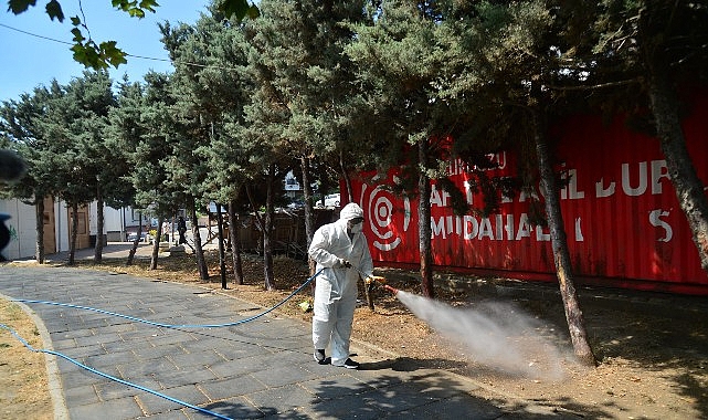 Kene ve Haşerelerle Mücadele İçin İlaçlama Çalışmaları Başladı- Kamu Çalışanı