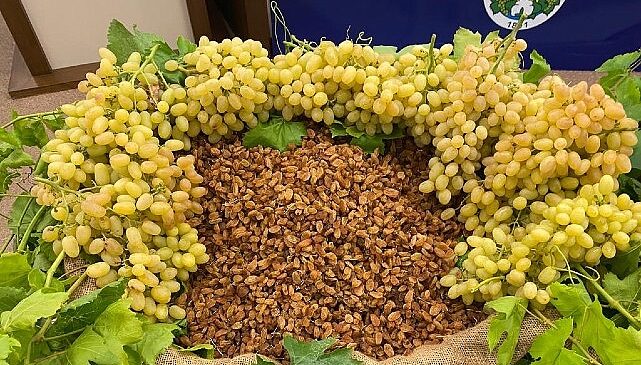 Kuru meyve sektöründe 12 ihracat şampiyonunun 11’i Egeli- Kamu Çalışanı