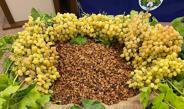 Kuru meyve sektöründe 12 ihracat şampiyonunun 11’i Egeli- Kamu Çalışanı