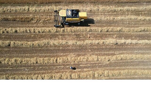 Tarımda verimlilik Büyükşehir’le artıyor- Kamu Çalışanı