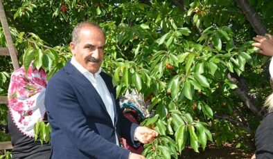 Uçak; “Don kirazı, kiraz ihracatı vurdu”- Kamu Çalışanı