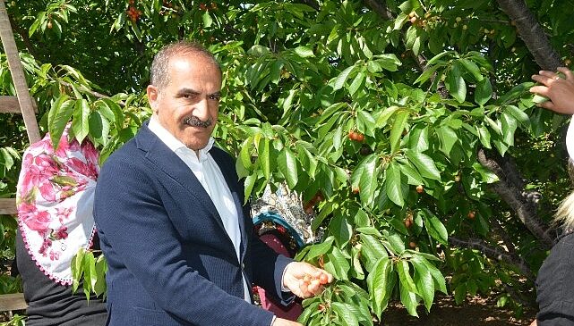 Uçak; “Don kirazı, kiraz ihracatı vurdu”- Kamu Çalışanı