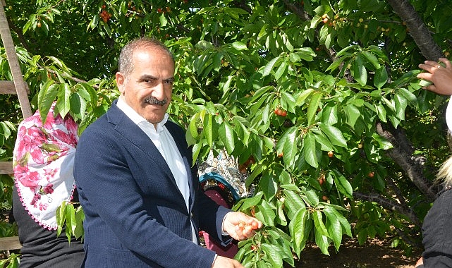 Uçak; “Don kirazı, kiraz ihracatı vurdu”- Kamu Çalışanı